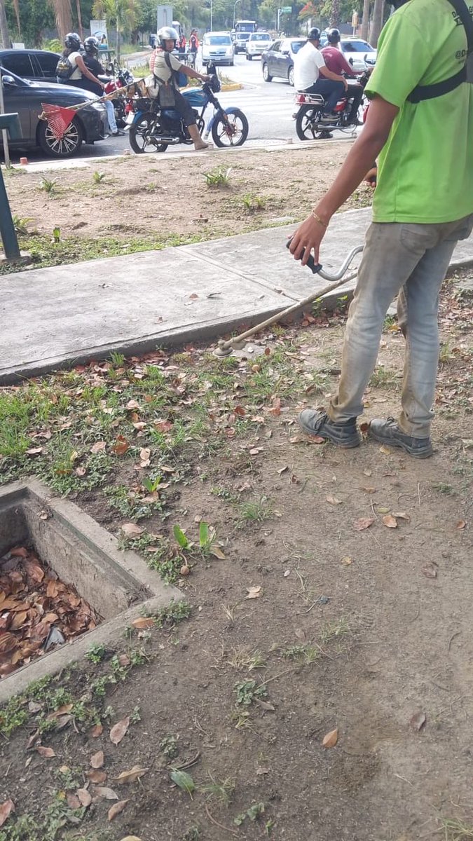 AlcaldiaBaruta's tweet photo. ¡Feliz tarde, baruteños! 🍃

Nuestras cuadrillas de #AcciónInmediata estuvieron hoy desplegadas realizando labores de:

🍃Recolección de desechos vegetales:
📍Av. Ppal de #Caurimare

🍃Desmalezado:
📍Urb. #LaTahona
📍Urb. #LaTrinidad

🚧Roleo de Árbol Caído:
📍Urb. #LlanoVerde https://t.co/GwzdyJ1DNz