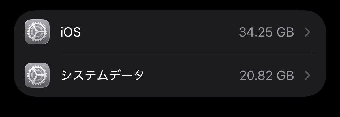 phothintokyo's tweet photo. システムデータとiOSのところだけで54GB。。。😭 https://t.co/pChbttBlvS