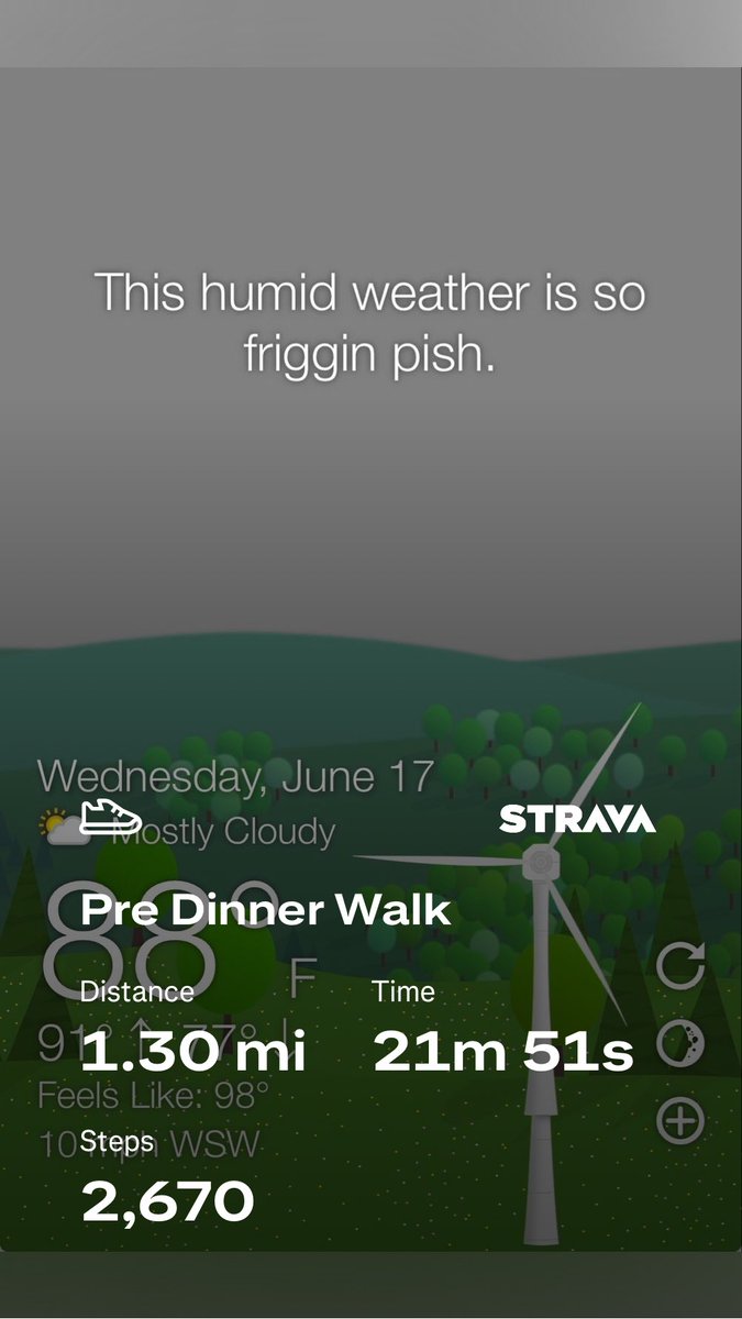 Floridaboiler's tweet photo. #awalkaday keeps the #cabinfever away #walkchat #whattheforecast #wtforecast https://t.co/DTyQqdQE6d
