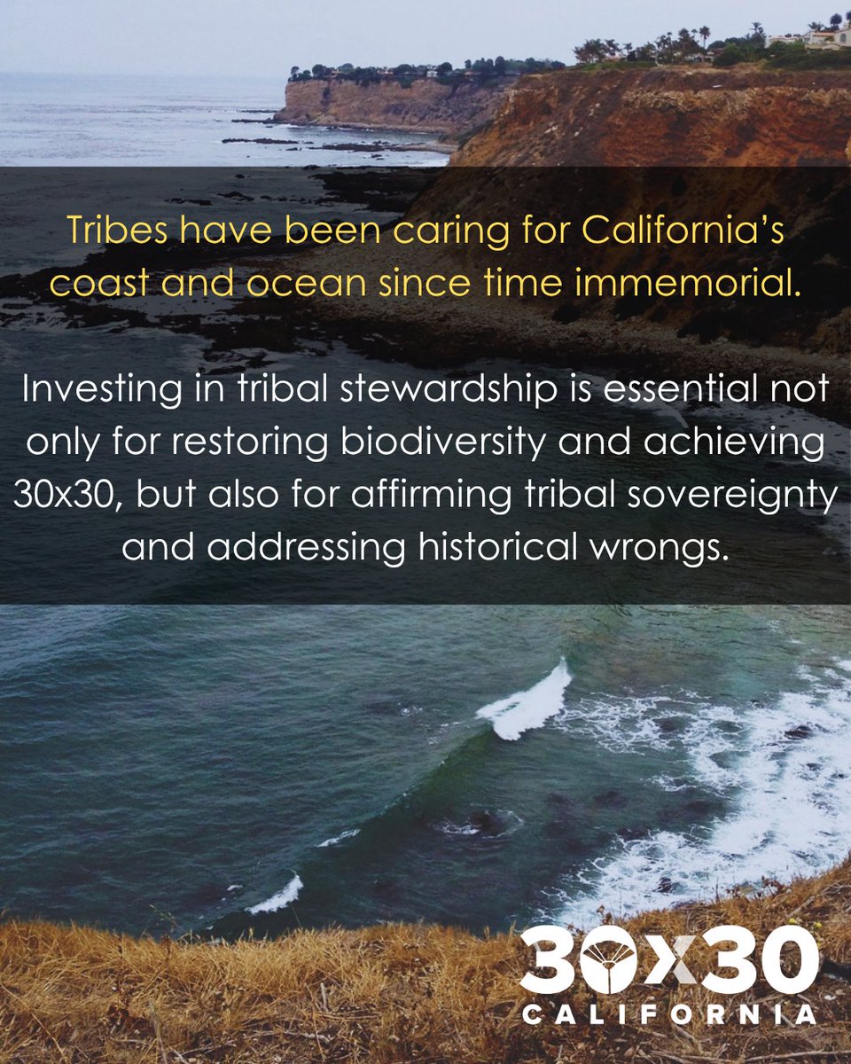 30x30CA's tweet photo. 🌊 This week, @OPC_California approved over $3.8 million to support 30x30 in coastal waters, with over $3.4 million going directly to projects that restore and revitalize tribally-led stewardship of the coast and ocean! https://t.co/t2zLz48PLi