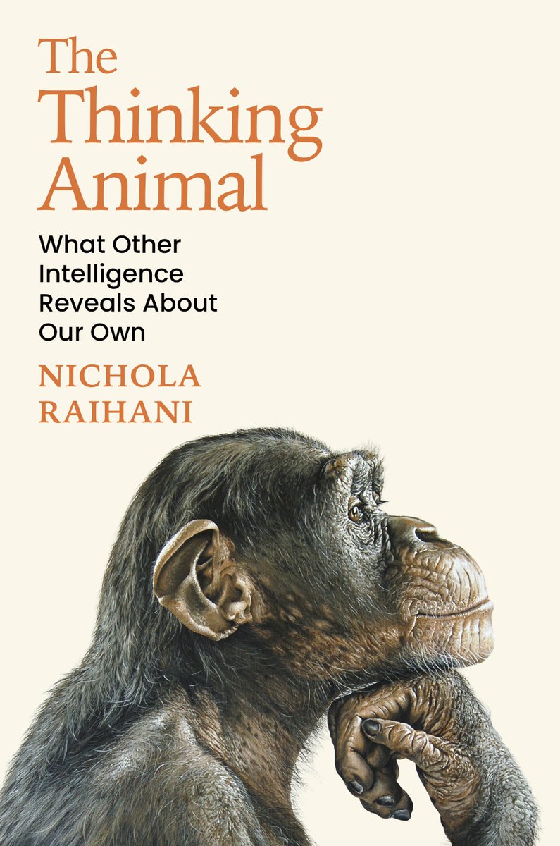 nicholaraihani's tweet photo. Hello... I haven't been here for a while! Here to say my book, The Thinking Animal, will be published in Jan 2027 and is now available for pre-order if you're interested. 

I've also started a blog, riffing on the book's themes. Links to follow. https://t.co/WMg4VwXa7v