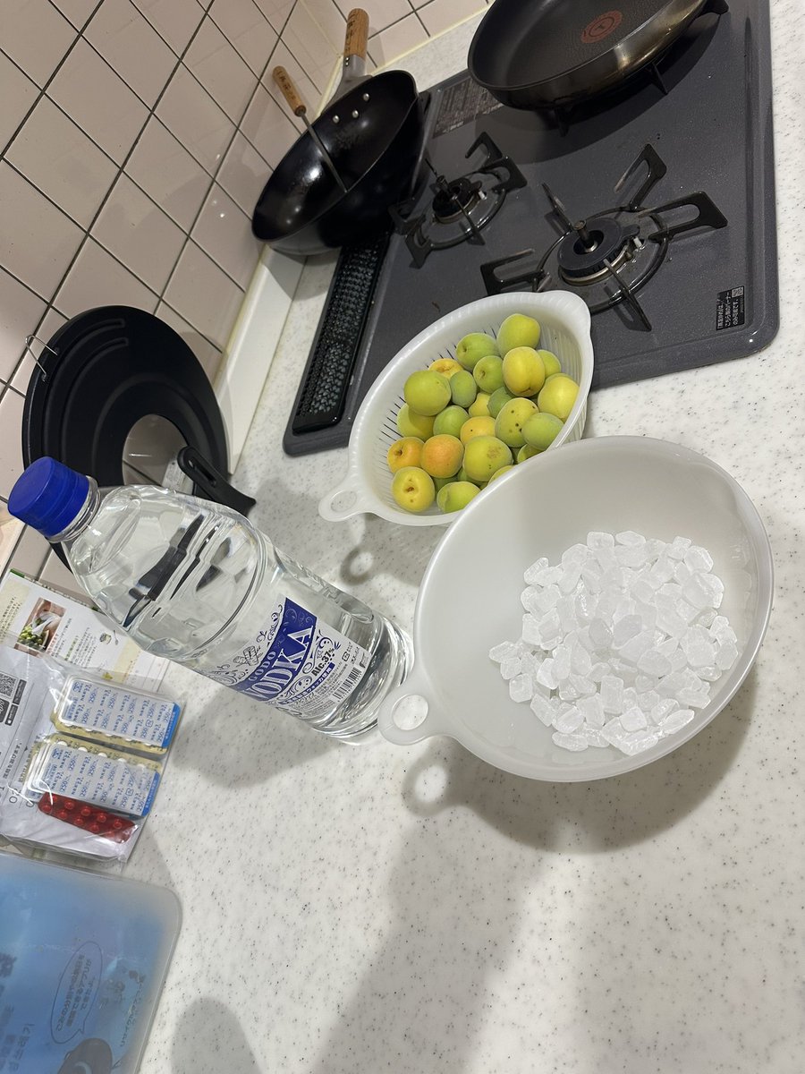 2ndLieutenant99's tweet photo. 庭の南高梅を初収穫。
生まれて初めて…梅酒を仕��んでみました🤤
今夜あたり味見するかw https://t.co/xR9YD5nRhN