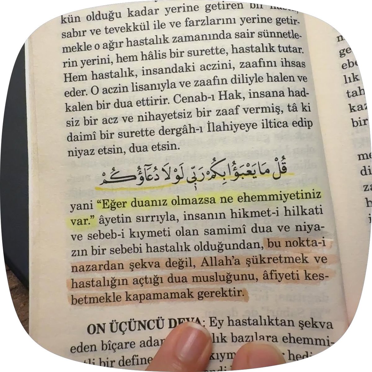İclal tweet media