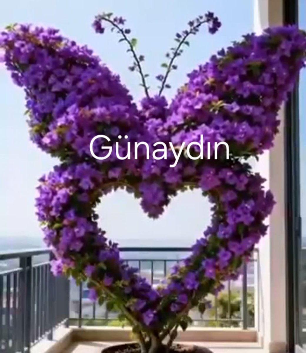 MinervaZon's tweet photo. Gerçekten aradığımız şey; nesne, zihin durumu veya ilişki değil; aradığımız tek şey arayış deneyimini sona erdirmektir.
R.Spira

Ben kendimin gölgesiyim, o kimin gölgesi onu arıyorum.
F.Pessoa

Peki sen... sen kimin gölgesisin?
VeraMu

https://t.co/9wYWD4XNJf

#nilduncanmolly
#20 https://t.co/OEwR92jiM7