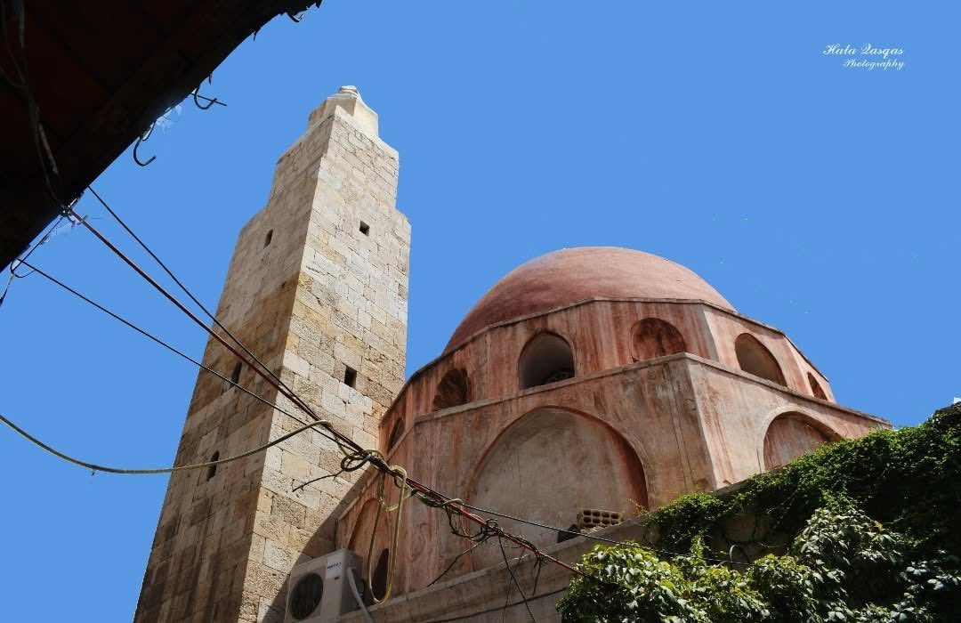Yusufsaladin22's tweet photo. Eyyubi/Kürt kadınları tarafından yaptırılan okul/medreseler.

•Mürşidiyye/Hatun Medresesi, Şam 13.yy
•Firdevs Medresesi,  Halep 13.yy
•Sittî Şamiyye Medresesi, Şam 12.yy
•Sahibiyye Medresesi, Şam 12.yy https://t.co/afJZ8OD2pm