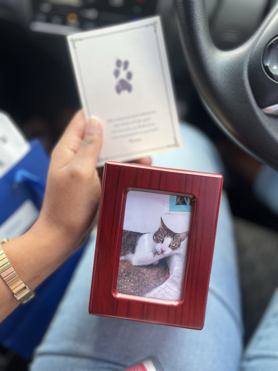 DanielleInsang's tweet photo. no faithful friends slander please 💜 highly recommend their service https://t.co/qTJ1qm4sJD
