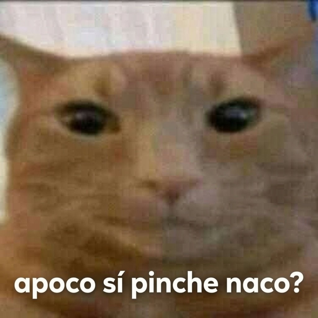 Asellus 🔟🇲🇽 tweet media