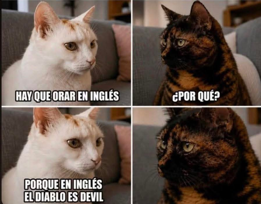 FraseSimple's tweet photo. https://t.co/9AlqEOFIfg