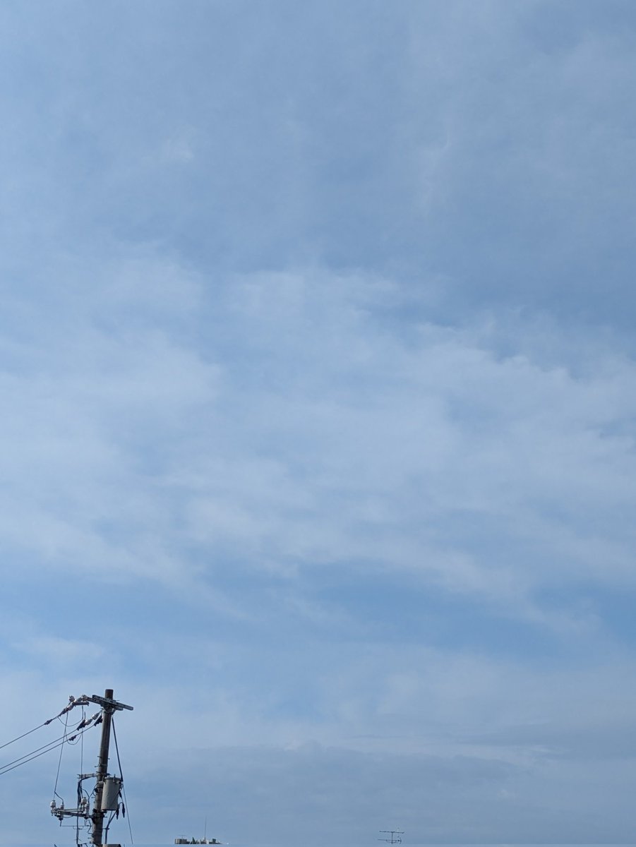 umechan0806's tweet photo. @goodjog_hfm おっはようございます🌥️
廿日市　7:40 雲多いけど、晴れです🌥️
梅雨入りしたけど、雨が降らないですね…
我が家の庭の　#紫陽花　です🤍🩷
雨を待ち望んでるみたい…

#GOODJOG #ジョグ天 https://t.co/7C87whqPjv