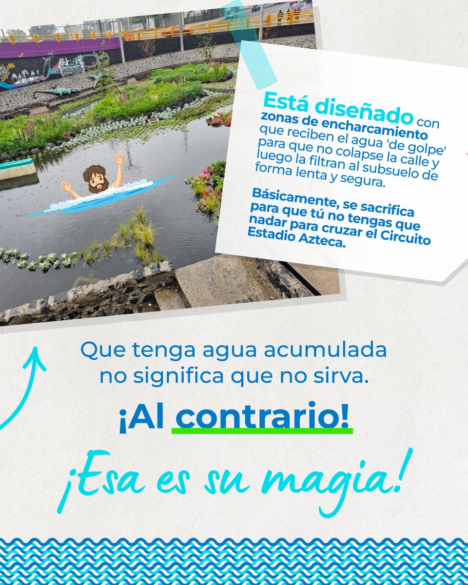 Sustenta_2MX's tweet photo. ¿Viste el Jardín de Lluvia Coapa con agua y pensaste que se había inundado? 💧😱 ¡Al contrario! Este espacio en Circuito Estadio Azteca retiene el agua de golpe para que la calle no colapse, y luego la filtra al subsuelo de forma lenta y segura. ⏳✨#estadioazteca #cdmx🇲🇽 https://t.co/H5iC42ZnuG