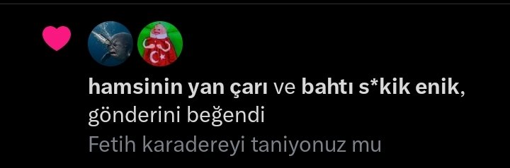 makar(n)alı yörük Heidi tweet media