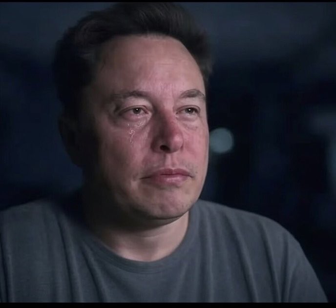 ElonNation 🌍 🇺🇸 tweet media