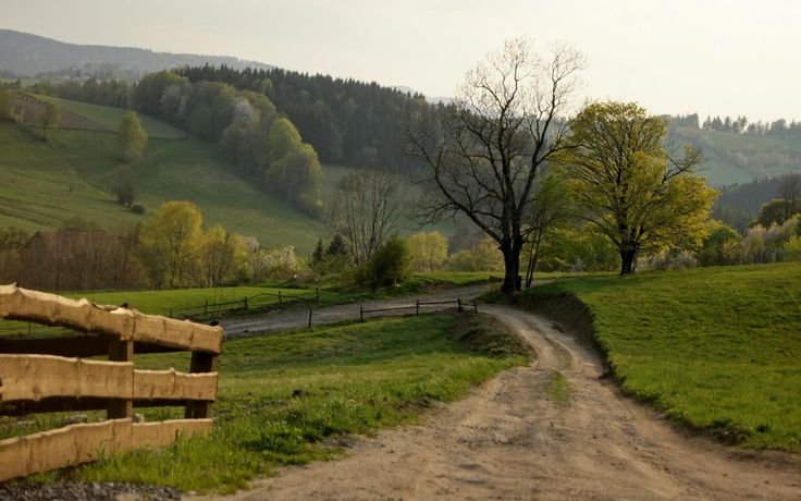 purelivn's tweet photo. walking through green paths always feels like therapy to me https://t.co/H5SIr3MqtE
