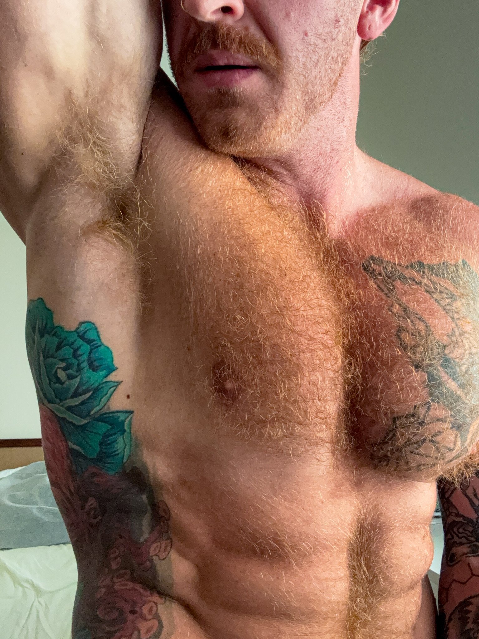 Hairy gingers are online in your area! https://t.co/S6XDWjE2v3