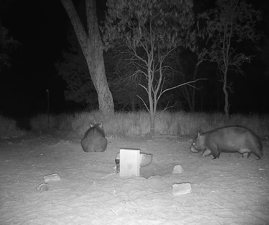awconservancy tweet picture