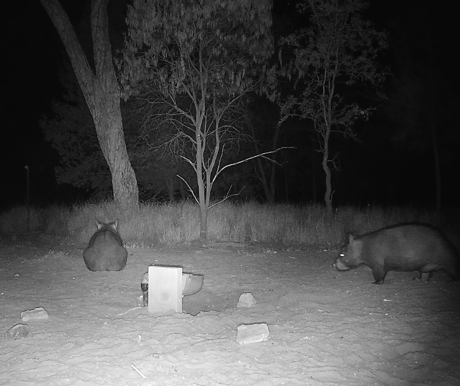 awconservancy tweet picture