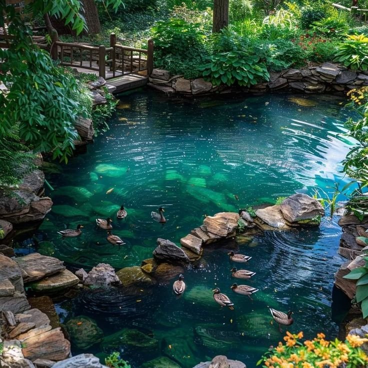 elyradream's tweet photo. nature dressed in blue and green https://t.co/ICq64WIq5d