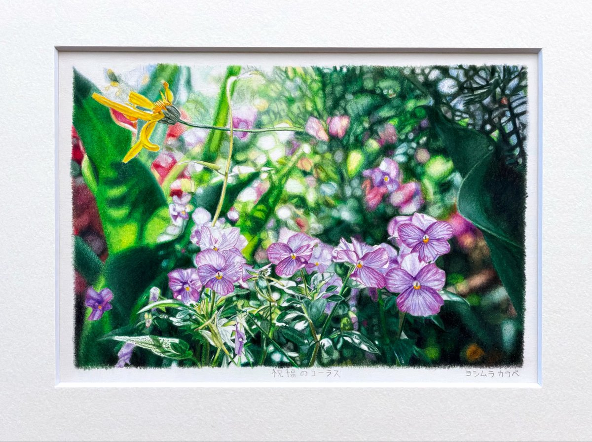 祝福のコーラス」 2026年 11.3×16.9cm 色鉛筆画 写真家 川部那萌さんと