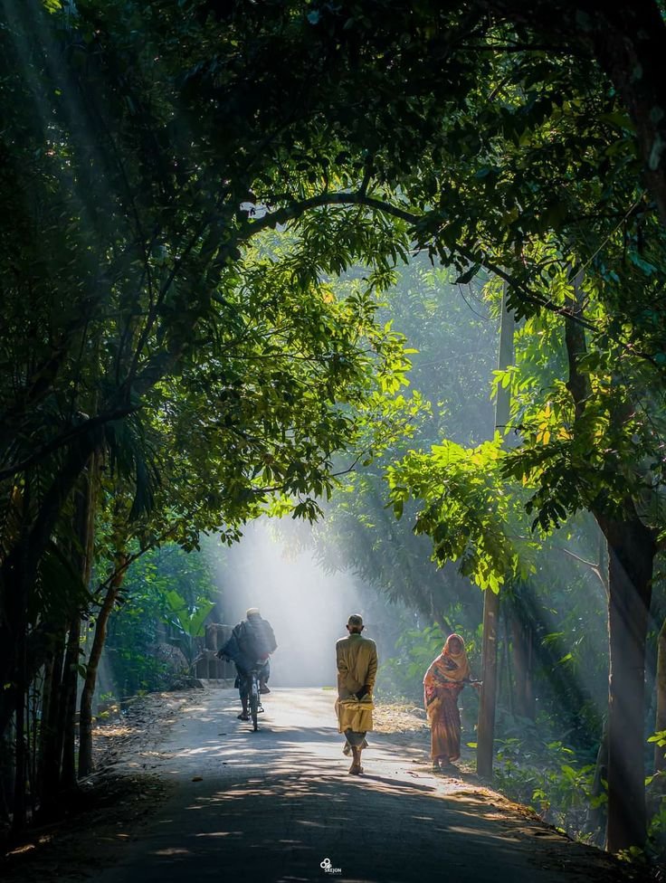 HumdardAlfaaz's tweet photo. शेर पालना महंगा नहीं पड़ता... बल्कि
"गधे" को मेकअप कर-कर के "शेर" बनाए रखना बहुत महंगा पड़ता हैं। https://t.co/SUi68Gum6f