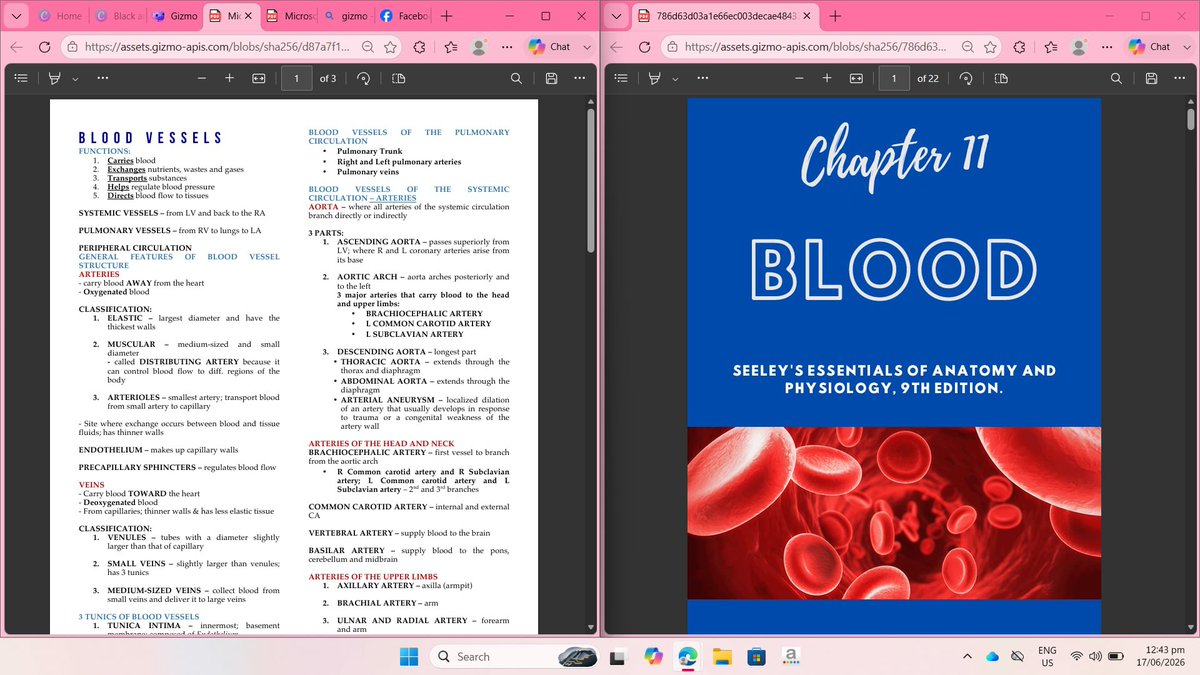 liavelunee's tweet photo. ೀ⊹ ࣪ [study log🍁🦢]

7hrs of anaphy and me (too many arteries are in my mind at this point😵‍💫). Found some more accurate study materials, can't waitttt for school to start 🫧🩺 https://t.co/CwEg1YU4ma