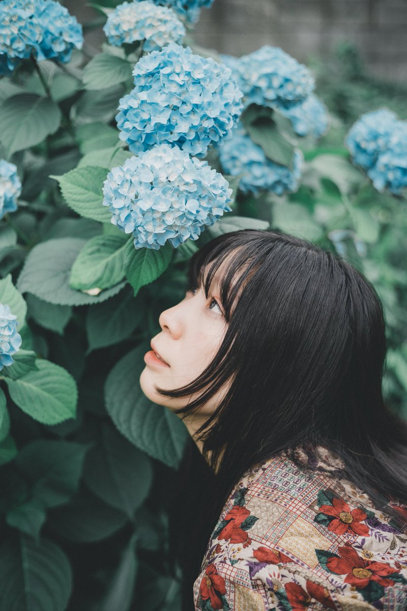 chaaana72's tweet photo. ＊

推し活アカウントになりかけてるけど
ちゃんと写真もやってるよ

紫陽花は好きな花なので
絶対に撮りたいよね！

#被写体
#写真好きな人と繋がりがたい https://t.co/hrHuvVL2I6