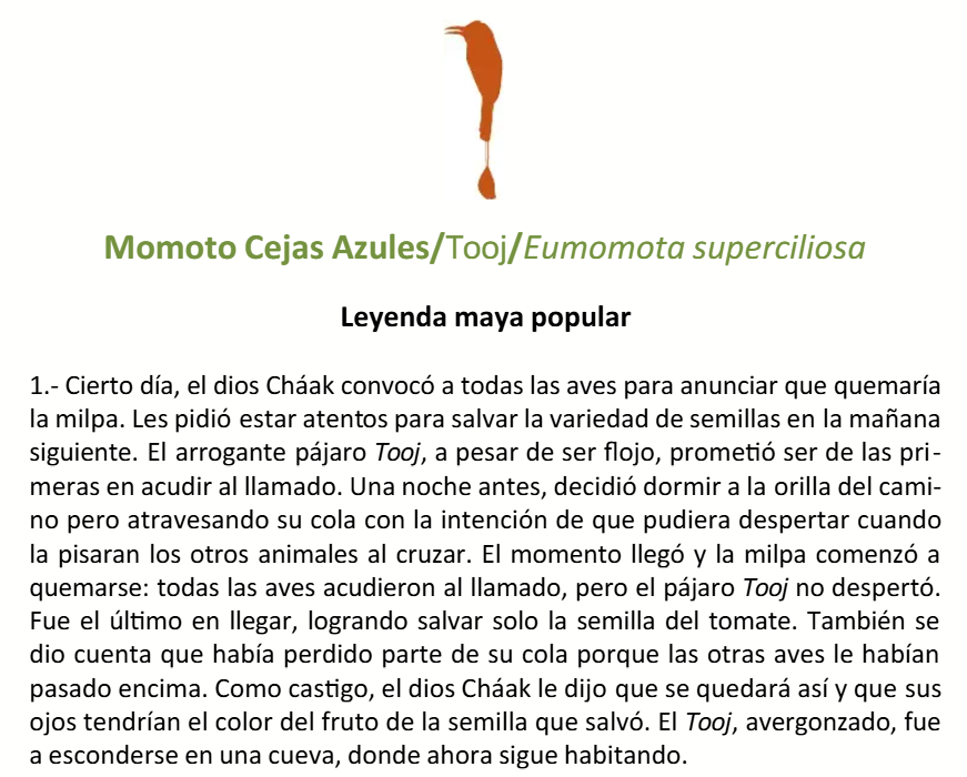 EfranOctavio1's tweet photo. Buscando más sobre nombres mayas de aves me topé con una guía que al final recopila varias leyendas sobre estas, bastante interesantes especialmente el cómo se relaciona la migración de invierno con la llegada de las almas de los difuntos a la tierra https://t.co/b2D0xecpaY