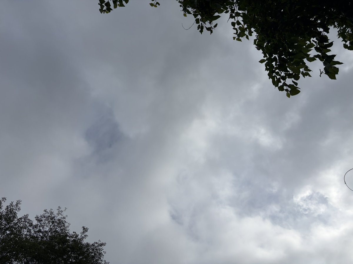 hi_267's tweet photo. おはようございます😊

天気は曇り☁️
雨はまだ大丈夫だけど
ちょっと蒸し暑いです
最高気温22℃

今日も無理なく頑張りましょう❣️

#イマソラ https://t.co/ZmnQFjTTmH