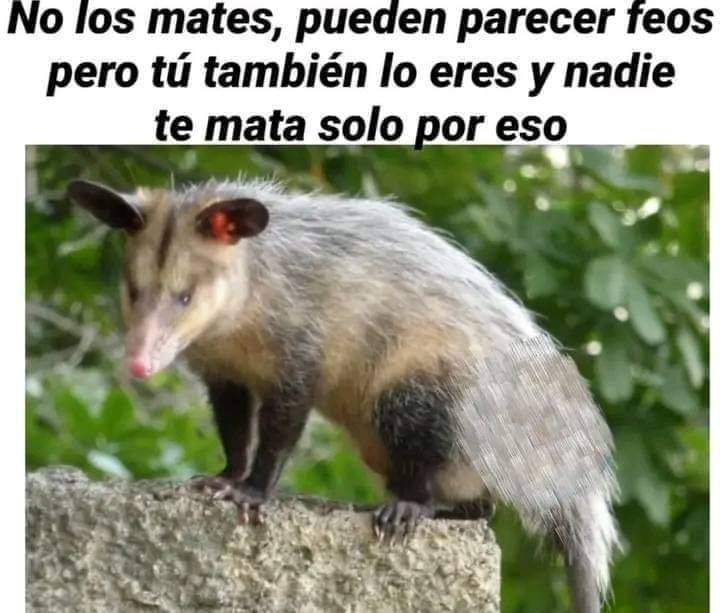 EnsedeCiencia's tweet photo. 🧐🧐 https://t.co/mPQJcbXgyg