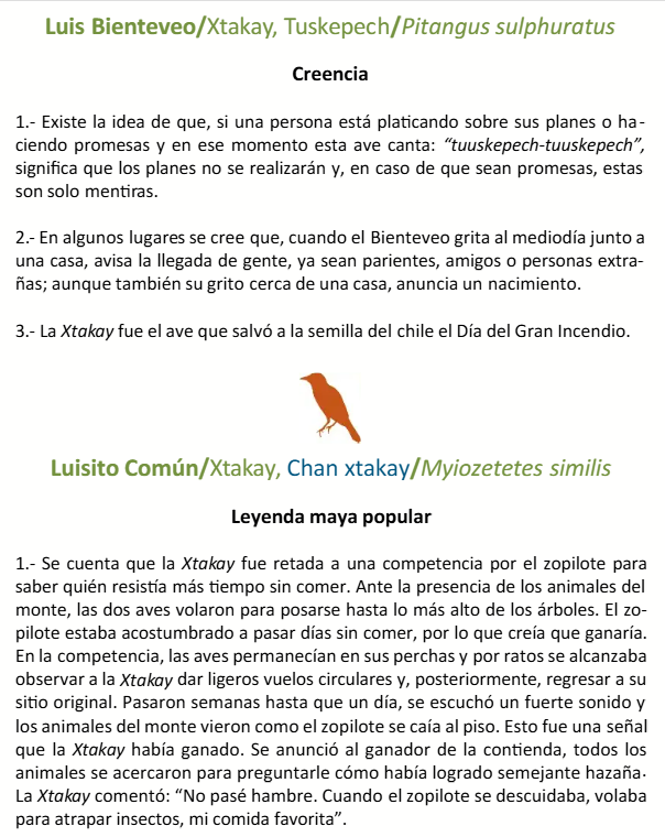 EfranOctavio1's tweet photo. Buscando más sobre nombres mayas de aves me topé con una guía que al final recopila varias leyendas sobre estas, bastante interesantes especialmente el cómo se relaciona la migración de invierno con la llegada de las almas de los difuntos a la tierra https://t.co/b2D0xecpaY
