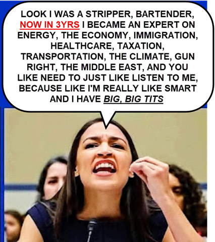 Matthew73536664's tweet photo. @JimmbboJim @EmilySm43 leave it up to the demonRATs to use the STUPIDEST member to distract America with her BIG TITs https://t.co/36JQry5N1j
