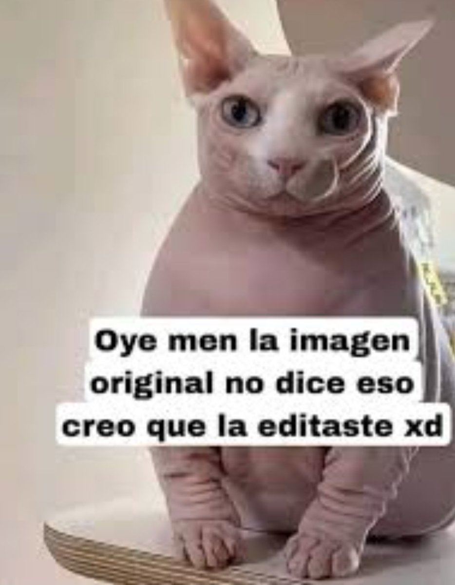 NikoL4ra tweet media