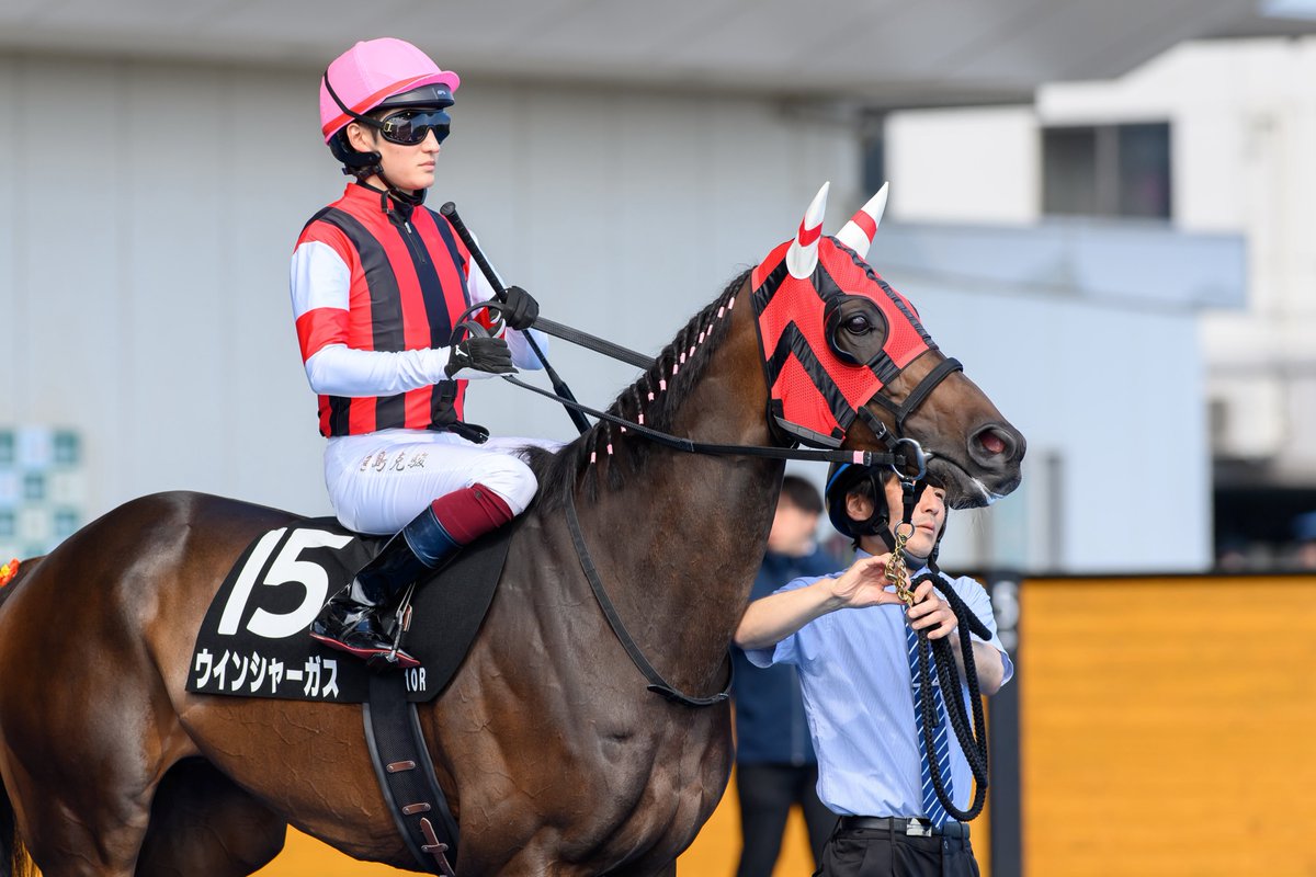 eclipse__first's tweet photo. 2026.06.13 函館競馬場

10R 松前特別 (2勝) 芝1800m

ウインシャーガス × 鮫島克駿騎手🫧
2人気 3着🥉

#ウインシャーガス #鮫島克駿
#ウインレーシングクラブ
#杉山晴紀厩舎 #キズナ産駒 https://t.co/bKGBP7nKZu