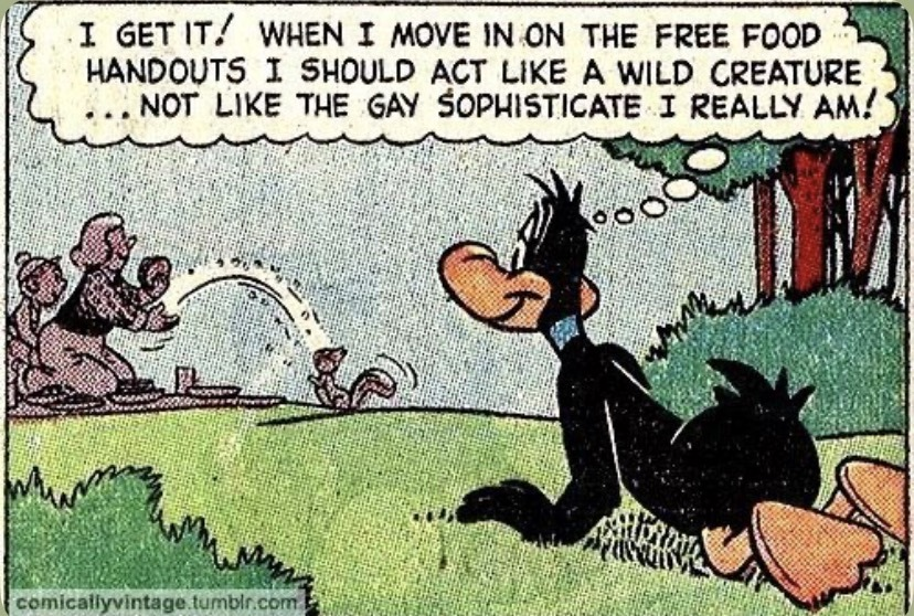 radiodormouse's tweet photo. #DaffyDuck https://t.co/y0ZTQx00sG