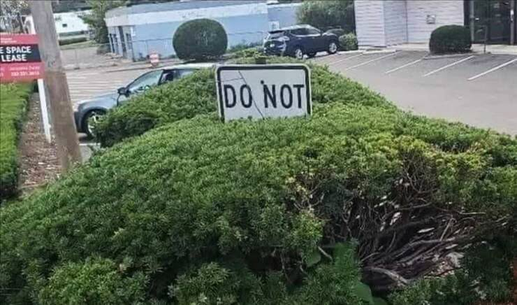 LouisianaJeff's tweet photo. Just don't. https://t.co/iQNFqU5fd8