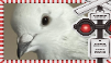 ✦ TOMB tweet media