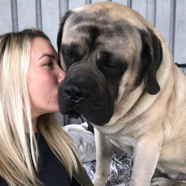 Ross362283's tweet photo. Lovely poppy 🐾❤️ https://t.co/kVlrihEZ2O