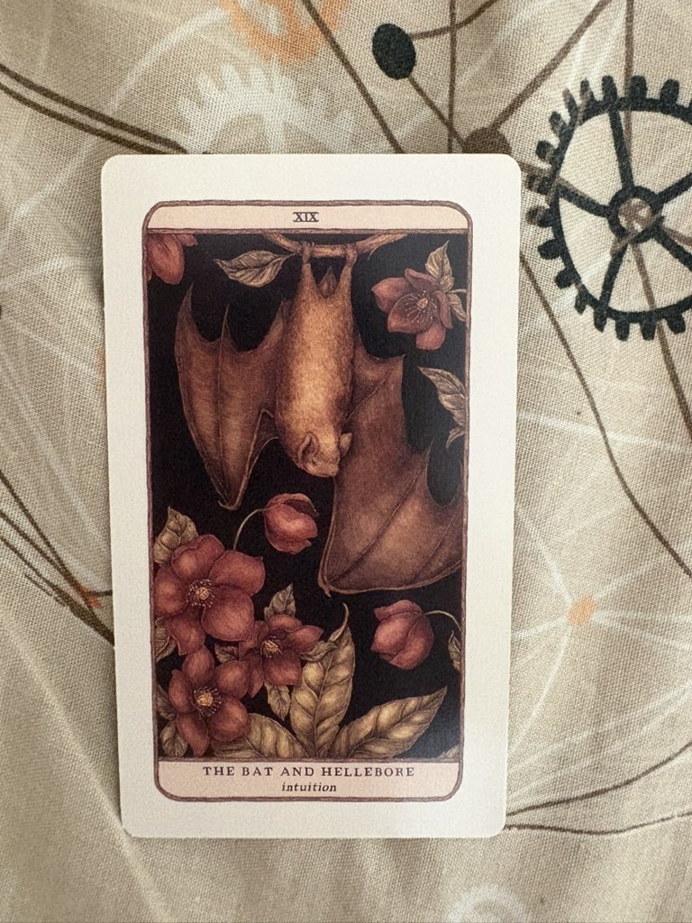 • ♃jupiter tarot tweet media
