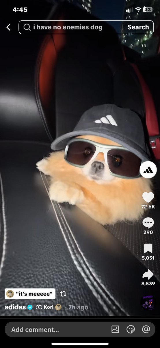Soundwave_8o8's tweet photo. solana:HtTYHz1Kf3rrQo6AqDLmss7gq5WrkWAaXn3tupUZbonk just did a collaboration with Adidas

CA in bio
IP rights
Dog owner part of the team
Most viral dog in history https://t.co/U2gqikyGZn