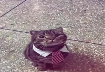 m1migoestosleep's tweet photo. how it feels to be trying for a job when youre 16 https://t.co/fEO3PWUGrb