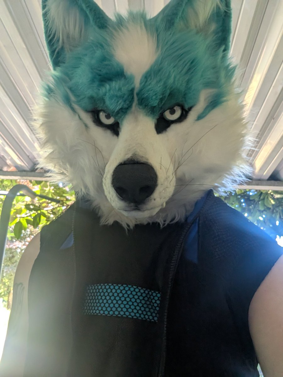 MelloWolf tweet media