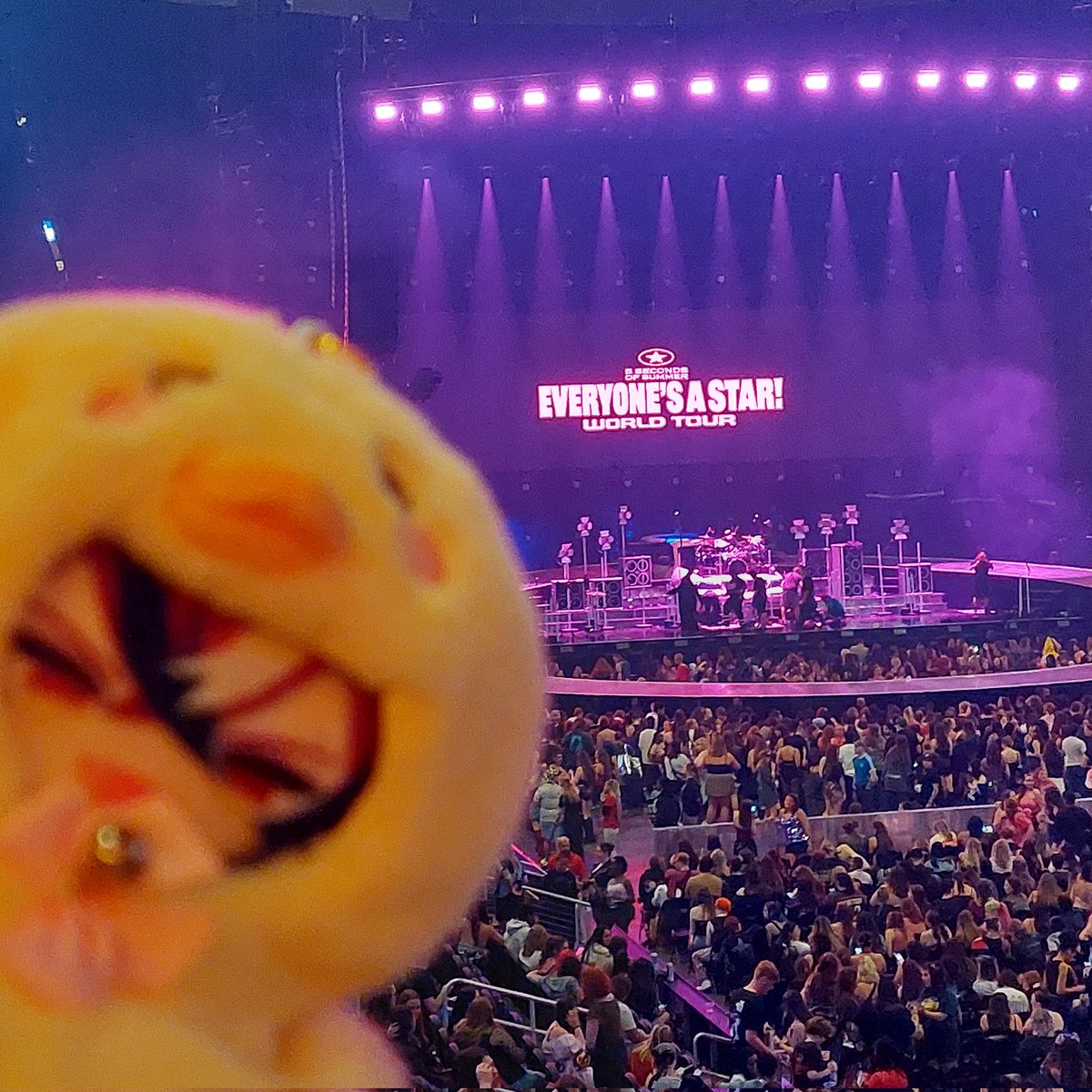 kyohrvs's tweet photo. love taking #Piopape to concerts 🌟 https://t.co/osQY7FF5Bn