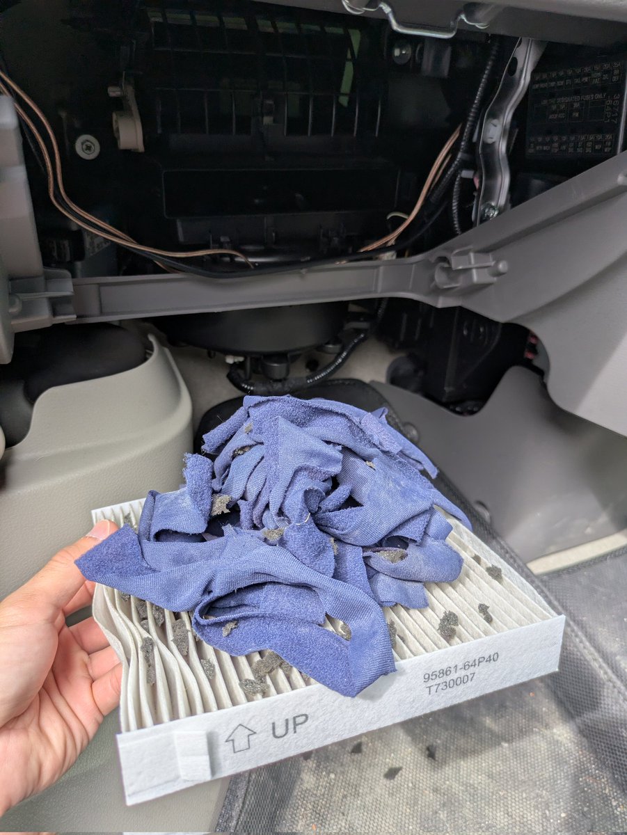 PlasDriver's tweet photo. 車のエアコンフィルター外したらお家が作られてた…ネズミか🙄 https://t.co/oSPE9zWYW2