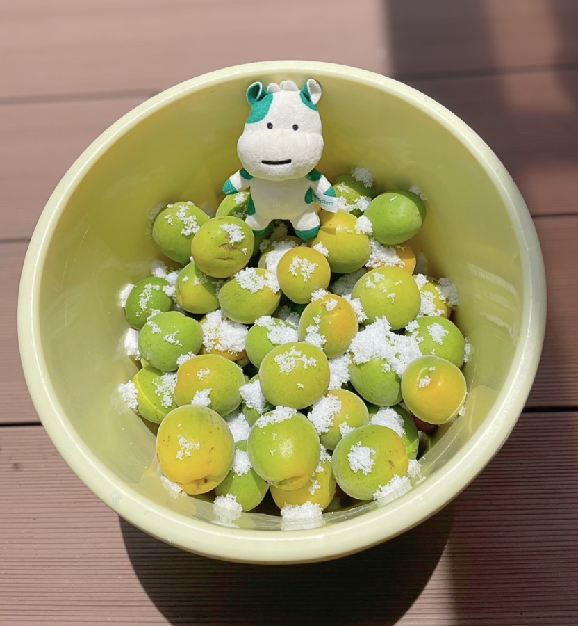 palsystem_tokyo's tweet photo. おはようございパル☁

梅干し作るよ～
みんなのお家では何を作るのかな？☺️

『だいどこログ』なら梅のレシピがたくさん見れるよ♪
https://t.co/6m1NEAunp3

#おはこんせんくん #パルシステム #梅干し #梅しごと #手しごと https://t.co/fEj67H3rOr
