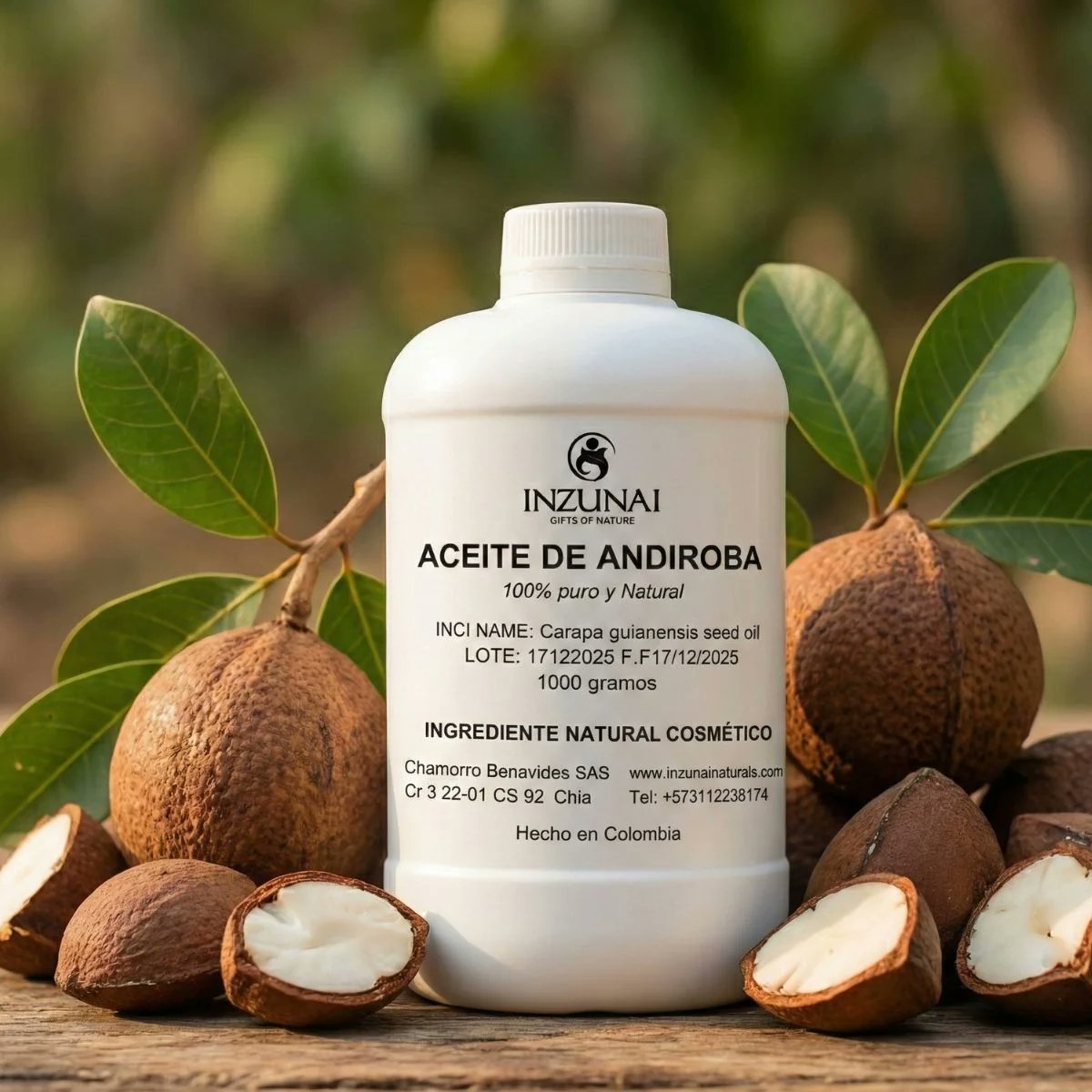 redforestal1's tweet photo. Sabías que a partir de los frutos secos🌰de Andiroba (Carapa Guianensis)🌳se produce un aceite vegetal rico en ácidos grasos esenciales (como el oleico y linoleico), vitaminas A, C, E, y compuestos antiinflamatorios como la andirobina. Es valorado por su rápida absorción. https://t.co/0hvUYuOrII