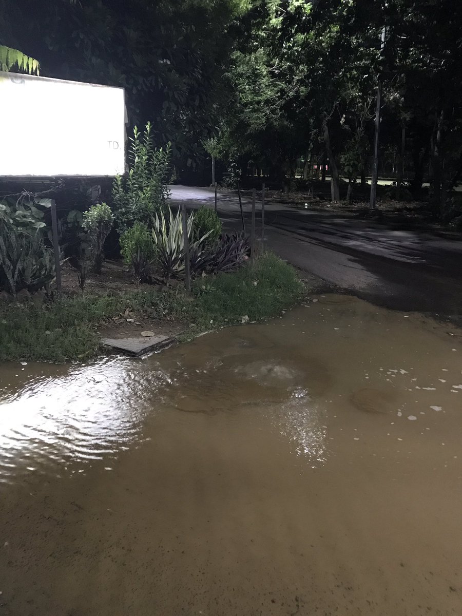 vsashti's tweet photo. @MunCorpGurugram @cmohry Precious potable water leaking on Sec.43 Service Rd. No action after 3 days of complaint &amp; follow up with the JE. Thousands of litres of potable water wasted. What is the use of so-called new administrative framework if officers are not held accountable? https://t.co/Zi4hJwrFui