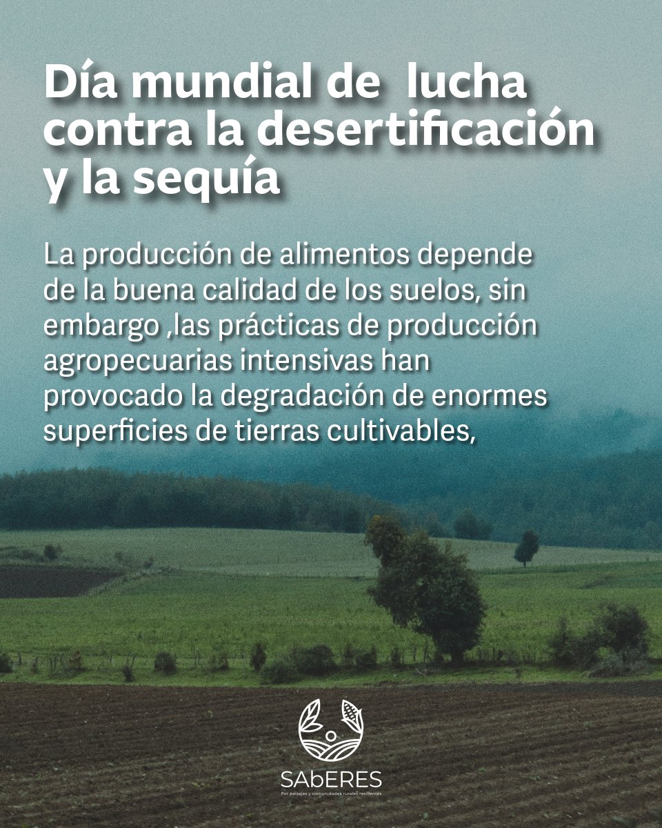 SAbERES_mx's tweet photo. Día mundial de lucha contra la desertificación y la sequía

Más del 64% de los suelos en México están degradados por prácticas intensivas de producción agropecuaria y el cambio climático. 📉 https://t.co/I3lfYdmUSI