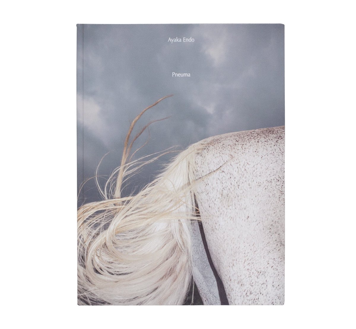 shashasha_photo's tweet photo. “Pneuma” by Ayaka ENDO

《New Arrival》

More Info↓
https://t.co/nf9UXklVK2 https://t.co/OutUdwCL80