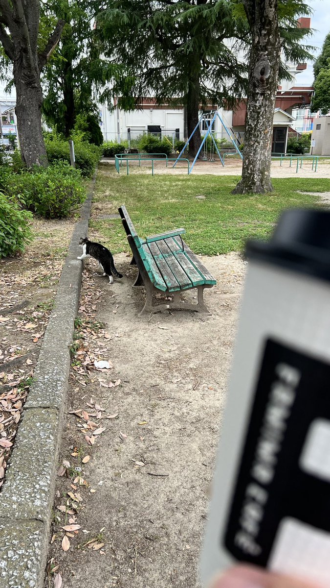 1FGECsI1NQpClpZ's tweet photo. 朝のモーニングルーティン☕️
にゃんこちゃんに遭遇🐈
少し元気もらいました😊
今日も1日頑張っていきましょう👍
#famimacafe #familymart #カフェラテ #モーニング #名古屋 #西区 #猫 #にゃんこ #モーニングルーティン https://t.co/isKUeTRWt5