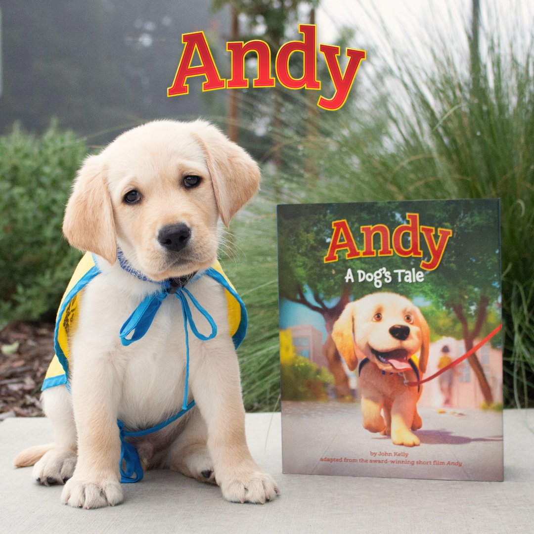 canineorg's tweet photo. "Andy: A Dog's Tale" is the perfect summer reading! 📖☀️➡️ Learn more in our segment on Columbus Living with Crystal Mazza: https://t.co/ErAA2MBpog

🐕‍🦺 Purchase the #childrensbook here: https://t.co/dG5jHG8akm

#LeadWithIndependence #ohio #community #books @nbc4i https://t.co/SQOzTs7TtH