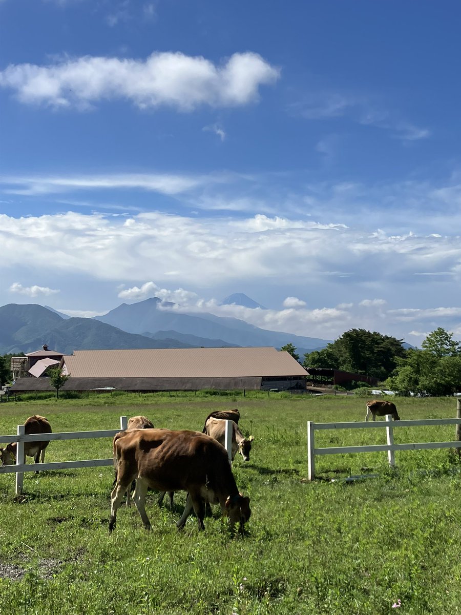 isanon22's tweet photo. 今日の富士山、清里より。6/18

#今日の富士山
#mtfuji
#Mount Fuji Today
#清里高原
#清泉寮
#今日の八ヶ岳
#yatsugatake
#八ヶ岳南麓 https://t.co/nW0pRvcwdO